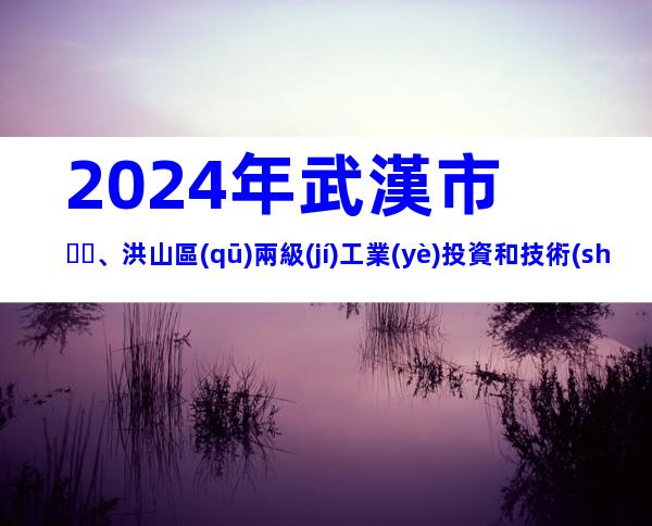 2024年武漢市、洪山區(qū)兩級(jí)工業(yè)投資和技術(shù)改造類專項(xiàng)資金申報(bào)條件、獎(jiǎng)補(bǔ)、材料、時(shí)間